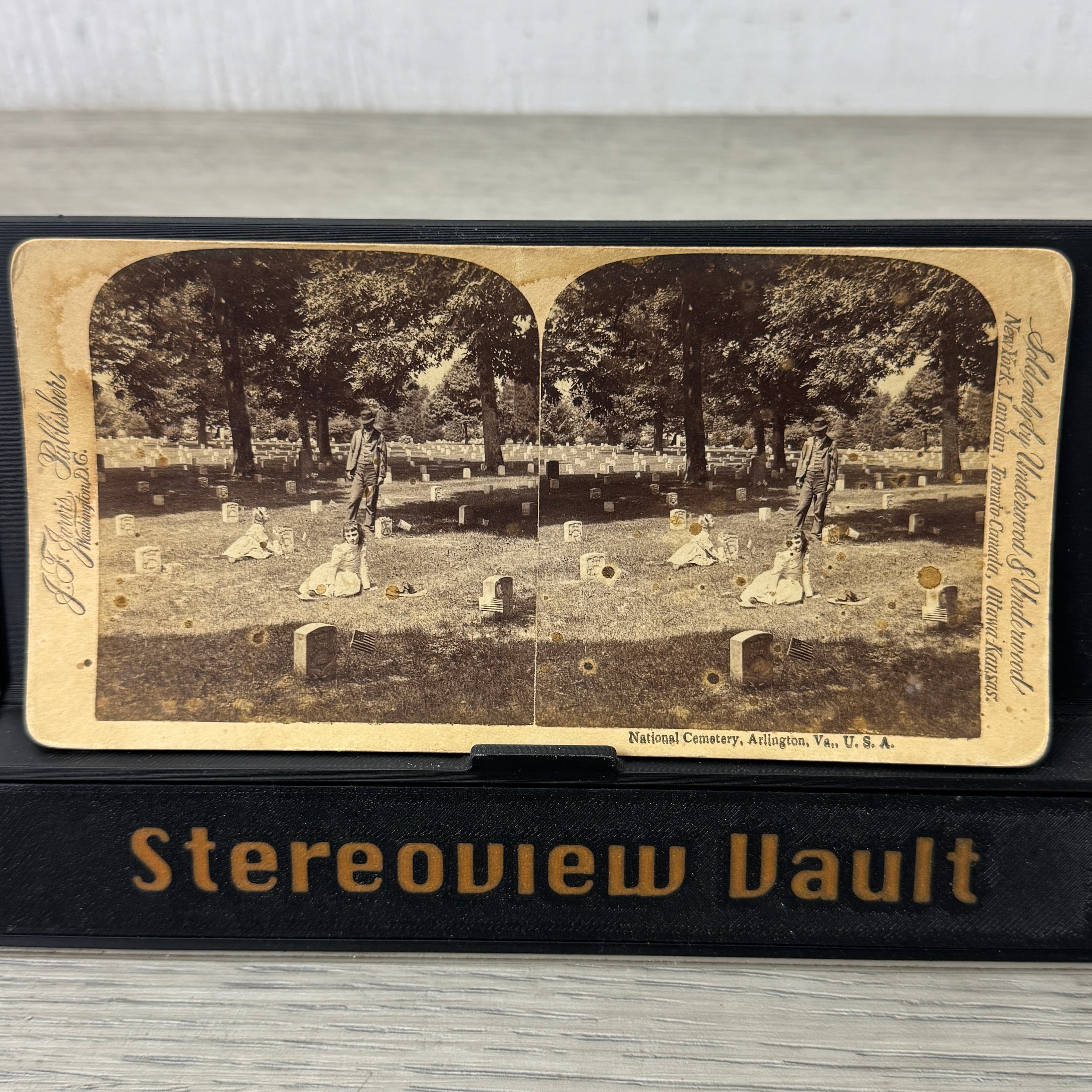 Stereoview Cards